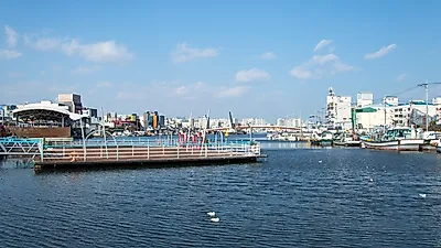 가을에 가족들과 떠나는 포항 가볼만한곳