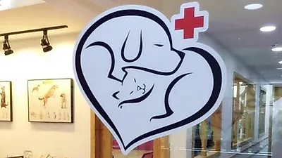 울산 해전 수의테크니션-반려동물관리학원 개원