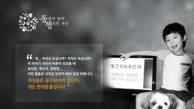 동물과 함께 행복한 세상, 복날 '개식용 반대' 캠페인 진행