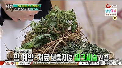 간에 좋은 음식 '밀크씨슬' 효과·먹는 법과 위에 좋은 음식 '연자육' 먹는 법·부작용 총정리