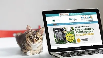 반값동물병원, 마이펫플러스 합리적인 가격의 궁금한 이야기 Y