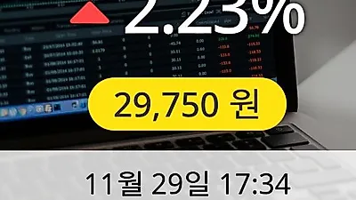 디오 29일 29,750원 장종료