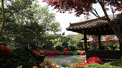 홍천 모둘자리 힐링체험마을, 소수 투숙객만 입장 가능…안심 여행지로 인기