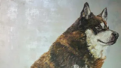 개 회화전 Dog's art party , 안산 수암봉의 카페 프로방스에서 전시