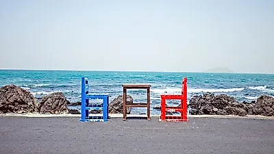 설날 연휴, 렌트카로 떠나는 겨울 제주도 여행... 가격비교 사이트에서 전기차 렌트 팁까지