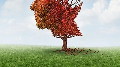 [환절기 건강 관리] 치매 초기 증상으로 본 '치매 자가진단하기', 치매 지원센터, 기억력에 좋은 음식은?