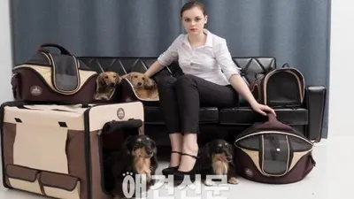 영국 프리미엄 펫하우스 '페슬러' 국내 런칭