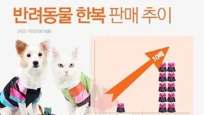 반려동물도 설빔 입는다...판매 폭증