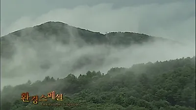 청설모와 하늘다람쥐가 숲속 둥지를 재활용해 새끼를 키우는 방법