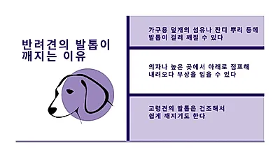 반려견 발톱 부상, 통증과 출혈 동반…적절히 치료해야
