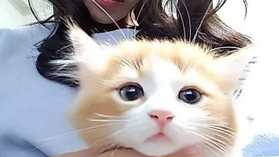 서유리, 레몬빛 반려묘 손에 쥐고 "미소년이시네요"