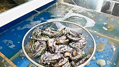 몸에 챙기고 미각도 행복한 제철 보양식, 속초 해천탕 맛집 탐방 '홍대포'