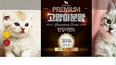 도그마루, 고양이 분양 런칭기념 이벤트 10월 31일까지 진행