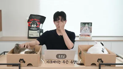 고양이 애착유형, 안정형·불안형·회피형 특징과 옥시토신 수치 차이