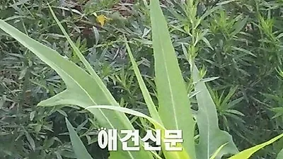 포대자루 담겨 생매장 당한 아이, 현재 근황은...