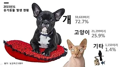유기동물 발생 현황, 개 72.3%로 가장 높아