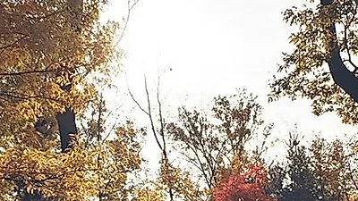 백종원 아내 소유진, 15살 나이 차이...유쾌한 등산 中 "운동으로 하루 시작해 상쾌"