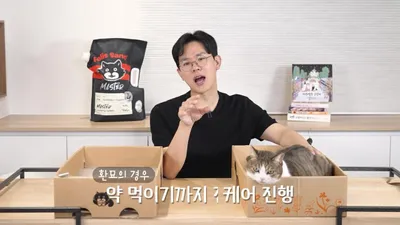 추석 연휴 고양이 혼자 둬도 될까…1박 2일 이상 비울 때 주의사항