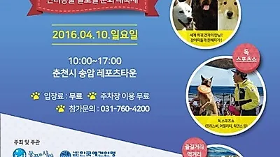 '제2회 강원 펫 페스티벌' 내달 10일 개최