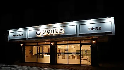 고양이분양시스템 차별화, 고양이전문 브랜드 ‘달루나캣츠’ 런칭