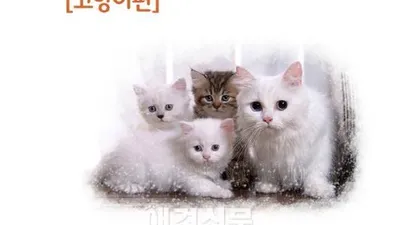 이리온, 반려동물 아카데미 개최  "사랑하는 냥이를 위해 똑똑한 집사님이 되세요"