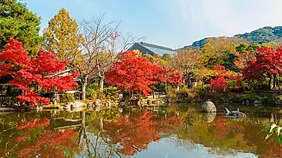 [서울 근교 당일치기 여행] 지금이 절정 '단풍 명소'와 경기도 수원, 남양주 가볼만한곳