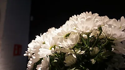 고인의 마지막을 배웅하고 유족에겐 위로를…올바른 장례식장 예절