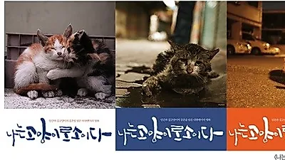 순천만세계동물영화제, 개막작으로 '나는 고양이로소이다' 선정