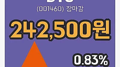 국내주식마감BYC 17일 242,500원 장종료...