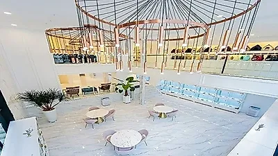 2020년 강아지분양 브랜드대상 ‘펫제이코리아’ 5월 8일 어버이날 비숑프리제 분양 기회