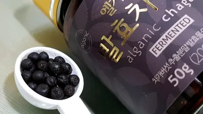 러시아산 차가버섯 분말, 발효차가버섯 환으로 탄생