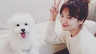 송혜교 근황, 일상에서도 '차수현'... 박보검과의 나이차이 넘은 '감동케미'에 "멜로의 장인들"