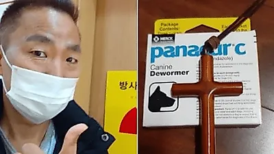 "통증 줄었다" 개그맨 김철민 강아지 구충제 '펜벤다졸' 후기, 식약처 부작용은?