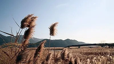 '2019년 순천 방문의 해 선포' 전남 순천 가볼 만한 곳 , 순천 여행 코스, 순천만 갈대축제, 순천 맛집 어디?  