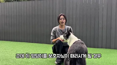 강아지 코 때리거나 좁은 곳 가두면 공격성 유발될 수 있다