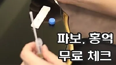 애견분양 시 파보, 홍역 체크 중요, 강아지 전문 베이비몽에서 무료 진행