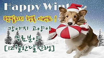 광주애견샵 '광주펫빌리지', 12월 한달간 겨울행복이벤트로 강아지·고양이 무료분양 진행