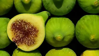 무화과,  칼로리 낮을 뿐만 아니라  다이어트에도 좋아…  무화과 보관법과  건강하게 먹는 법까지