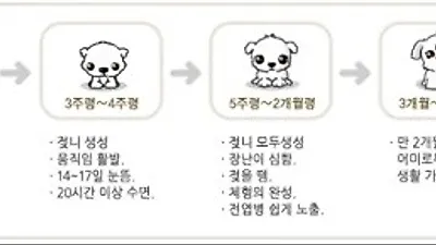 강아지 성장 과정 5단계