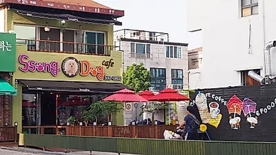 대구 쏭앤독 애견카페를 찾아서