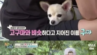 '개밥주는 남자' 이재윤, 애완견 구마 입양 계기는