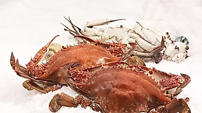 가을에 제철인 음식 꽃게탕끓이는법