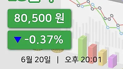 국내주식마감LG전자 20일 80,500원 장종료그래프종합분석