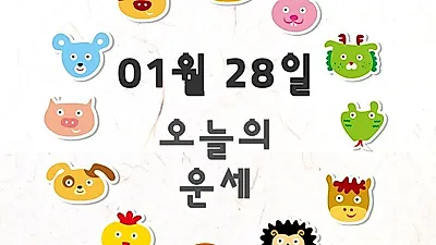 [이 주의 운세](己亥年) 기해년 월요일 재미로 보는 돼지띠 금전운은?