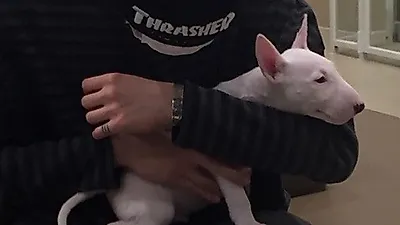 오혁 품 안에 강아지 앉은 채 "오줌을 이때 쌌구나"