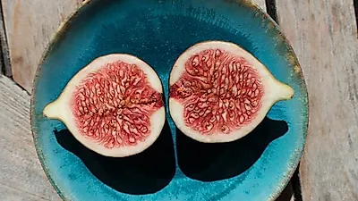 독특한 맛과 향을 가지고 있는 '무화과의 효능', 항산화와 항균, 항염증에 뛰어나