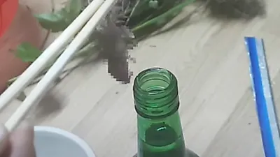 동물자유연대, 살아있는 새끼 쥐로 담금주 한 유튜버 또 다시 고발