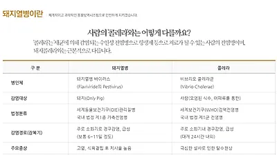 아프리카 돼지열병 주요 증상보니 '고열과 식육결핍' 콜레라 및 조류 인플루엔자와 무엇이 다를까?