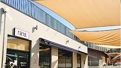대전애견카페 '라라빌리지', 색다른 힐링공간 선보여
