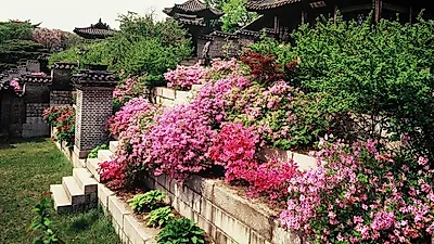 [추석국내여행] 추석연휴 무료! '캠핑, 호텔, 미술관, 문화재' 서울 근교 가볼만한곳 정리